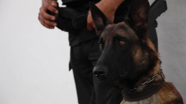 Hombre condenado por lesiones cometidas en Villa Ansina