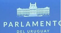 Comisión de Diputados aprobó proyecto sobre financiamiento de partidos políticos.Continúa el 28.