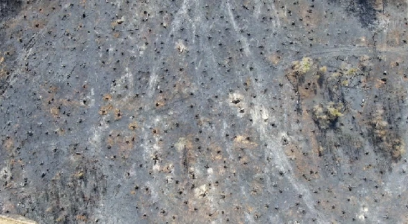 El aire de Europa es el más seco de los últimos 400 años