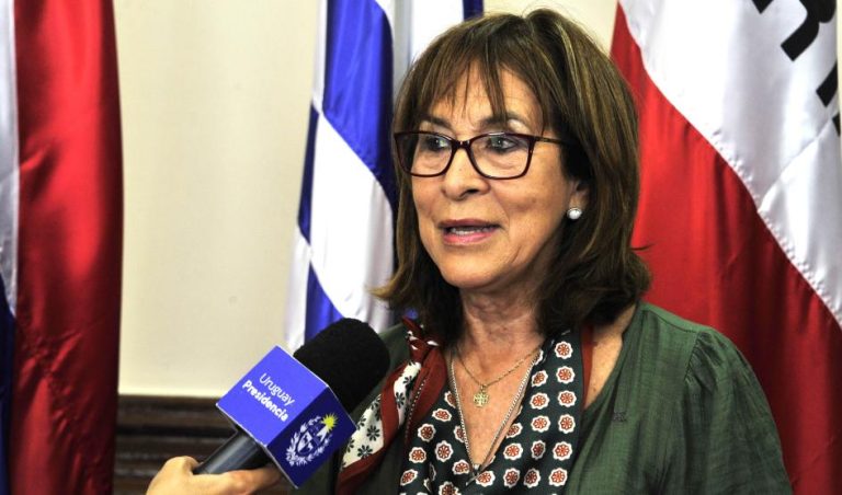 Casi 11.000 niños participarán de las escuelas de verano