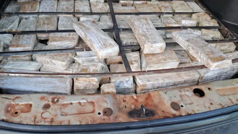 Incautaron 140 kilos de marihuana en Rivera