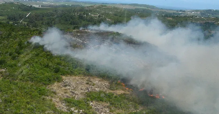 MALDONADO: Incendio al lado del cerro Pan de Azúcar.