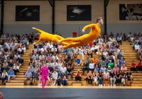 Selección de gimnasia artística de Dinamarca brindará show internacional en Tacuarembó