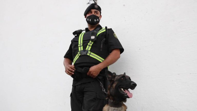 Hombre condenado por receptación y desacato