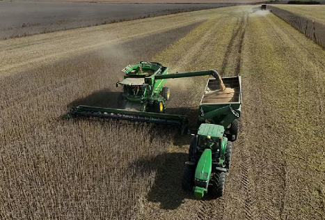 El Banco Mundial advirtió que la Argentina es el único país líder del agro cuyas exportaciones descienden