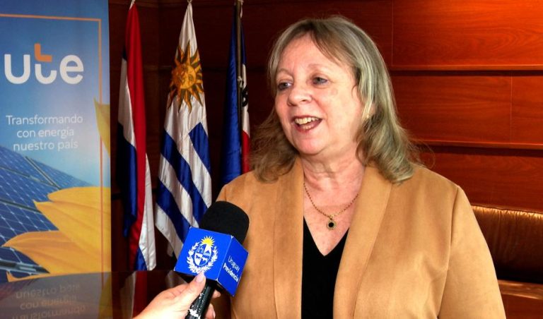 UTE inaugurará obras en apoyo al sector productivo por 20 millones de dólares