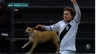 Uruguay: Papelito y su festejo viral: “Primera vez que veo un perro en Jardines. Solo pasa acá”