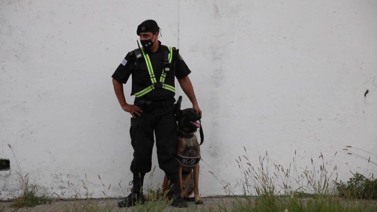 La Justicia condenó a dos hombres: hurto, rapiña y receptación