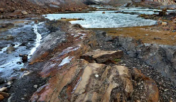 Desde microbios a mamíferos: cómo resurge la vida donde se derriten los glaciares.