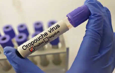 El virus que se transmite en América Latina por la picadura de un mosquito es Oropouche.