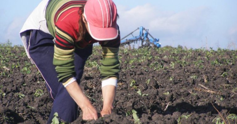 Intendencia de Tacuarembó saluda a las mujeres rurales en su día