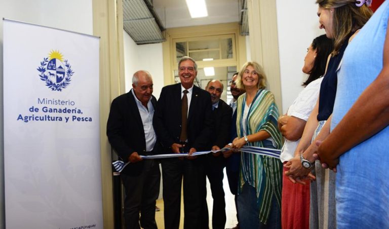 Nuevas oficinas de Ganadería permitirán agilizar emisión de certificados de exportación