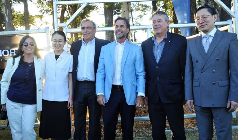 Lacalle Pou participó de embarque de reproductores Angus, Hereford y Braford