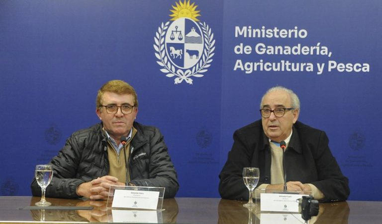 Eduardo Viera de Colonización