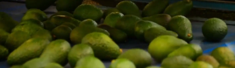 Alimentos que son fuentes naturales de Electrolitos.