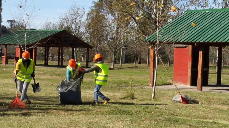 Llamado a Aspirantes Zafrales para Tareas de Servicios en la Intendencia de Tacuarembó