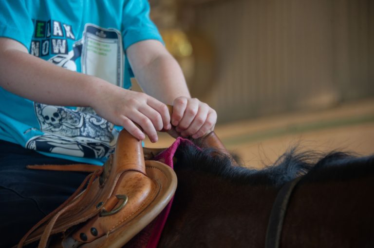 Servicio de Equinoterapia aumenta 15% los cupos de atención a personas con discapacidad
