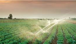 Gobierno avanza en lineamientos estratégicos para impulsar el riego como política productiva